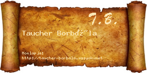 Taucher Borbála névjegykártya